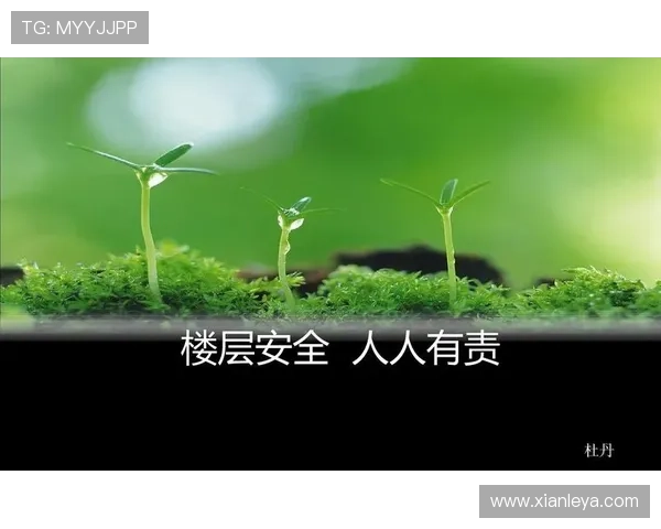 凯发网页版登录引领行业创新发展，打造绿色安全的线上娱乐平台新生态